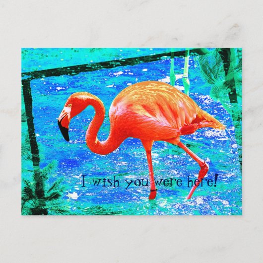Funky rosa Flamingo Reise Postkarte (Vorderseite)