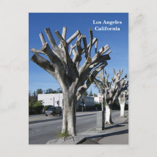 Funky Tree Los Angeles Postcard! Postkarte