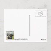 Funky Venice Beach Postcard! Postkarte (Rückseite)