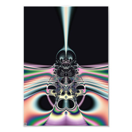 Funky Vogel Fotodruck (Vorne)