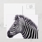 Funky Zebra Postcard Postkarte (Vorne/Hinten)