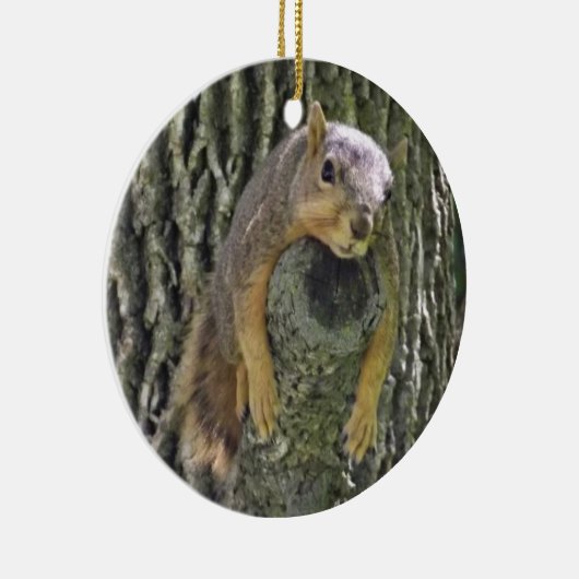 Funn Eichhörnchen Weihnachtsschmuck (Rechts)