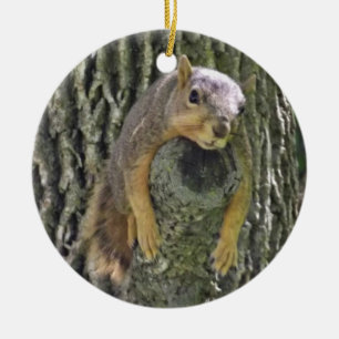 Funn Eichhörnchen-Weihnachtsverzierung Keramik Ornament