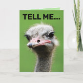 FUNNIERENDE OSTRICH-GEBURTSTAGSKARTEN KARTE (Vorderseite)