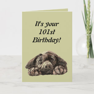 Funny 101. Geburtstag individualisieren Labrador R Karte