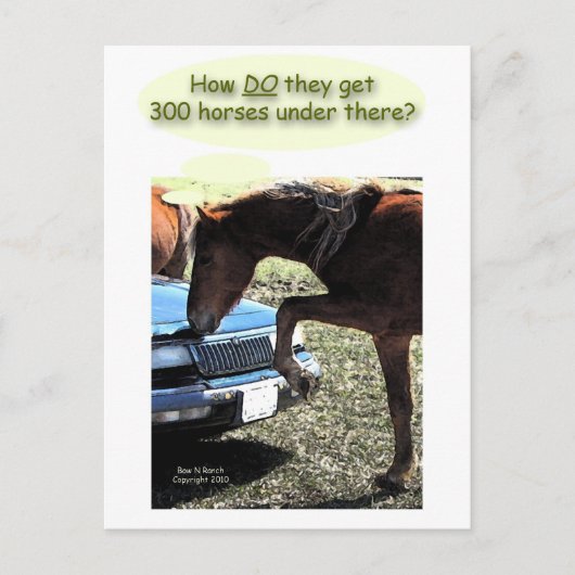 Funny 300 Pferdewagen Postkarte (Vorderseite)
