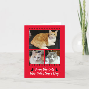 Funny 3 Foto von Cat Paw Print Valentine Rot Feiertagskarte