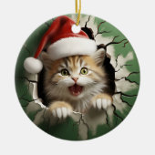 Funny 3d cat keramik ornament (Vorne)