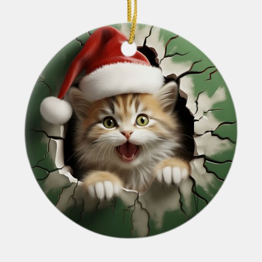 Funny 3d cat keramik ornament (Vorne)