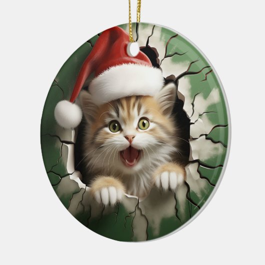 Funny 3d cat keramik ornament (Links)