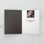 Funny 60. Geburtstag, Labrador Retriever Karte (Innenseite)
