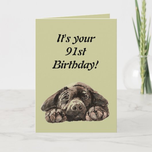 Funny 91. Geburtstag Customize Labrador Retriever Karte (Vorderseite)