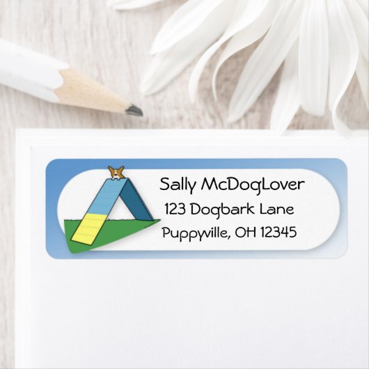 Funny A-Frame Corgi Agility (Insitu)