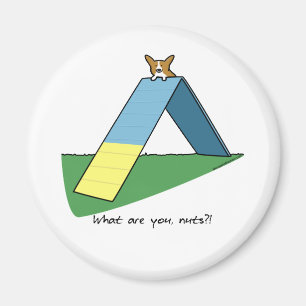 Funny A-Frame Corgi Agility Magnet