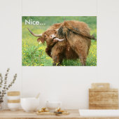 Funny Aberdeen Angus Cow Poster Print (Küche)