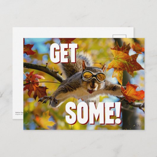 Funny Action Eichhörnchen Postcard "Get some" Postkarte (Vorne/Hinten)