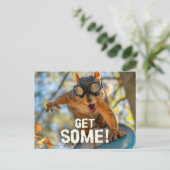 Funny Action Eichhörnchen Postcard "Get some" Postkarte (Stehend Vorderseite)