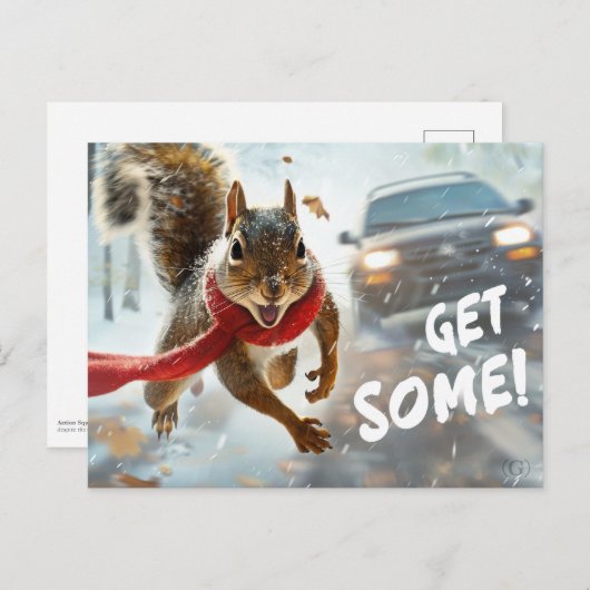 Funny Action Eichhörnchen Postcard "Get some" Postkarte (Vorne/Hinten)