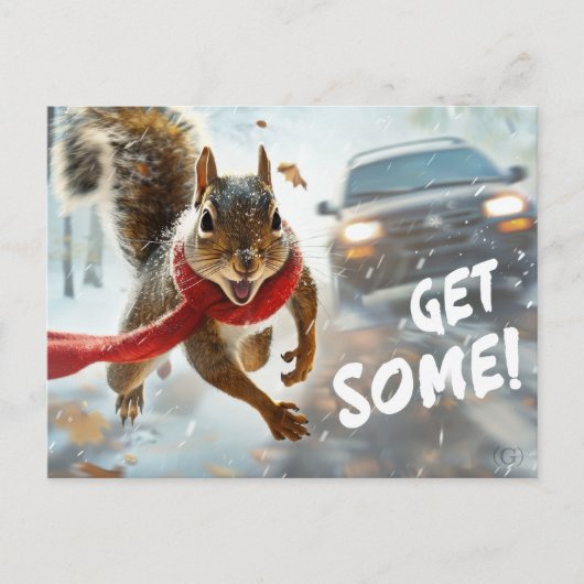 Funny Action Eichhörnchen Postcard "Get some" Postkarte (Vorderseite)