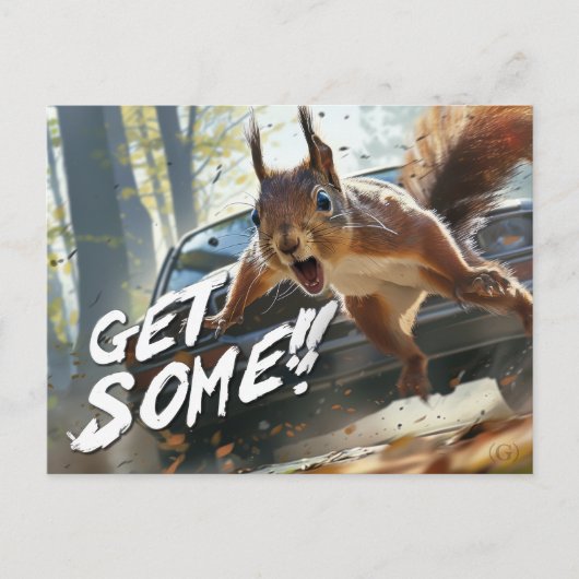 Funny Action Eichhörnchen Postcard "Get some" Postkarte (Vorderseite)
