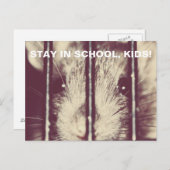 Funny Adorable Rat im Gefängnis Postkarte (Vorne/Hinten)