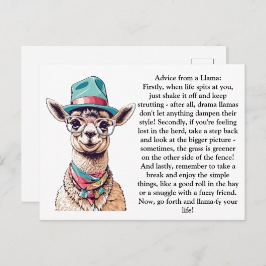 Funny Advisor from a Llama Postkarte (Vorne/Hinten)