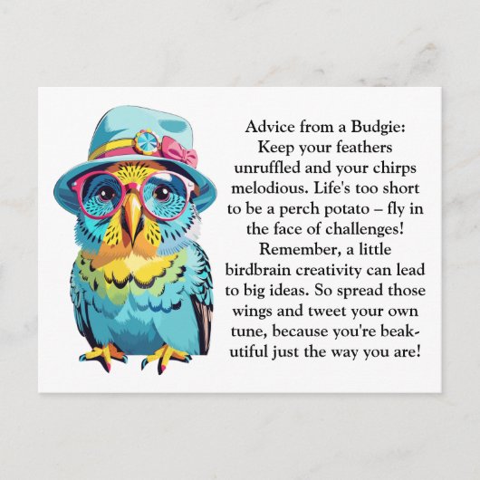 Funny Advisor von einem Budgie Postkarte (Vorderseite)