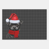 Funny Affenpinscher Weihnachtsgeburt Kariert Geschenkpapier Set (Vorderseite 2)