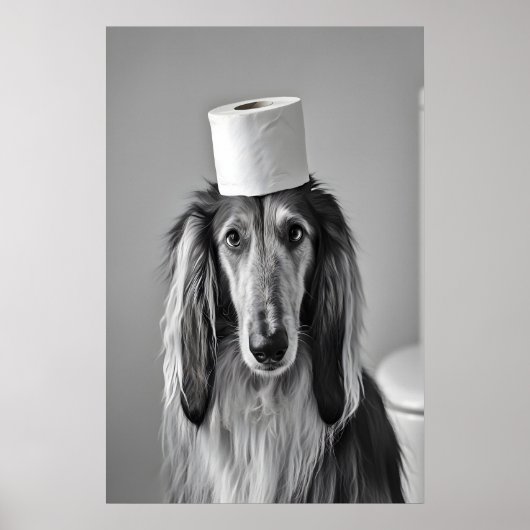 Funny Afghan Hound Bathroom Print, Toilet Paper Poster (Vorne)