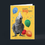 Funny African Gray Parrot Birthday Spaß Karte<br><div class="desc">Ein sehr niedlicher afrikanischer grauer Papagei quawks; "Happy BIRDday" umringt von farbenfrohen Ballons und Konfetti auf einem fröhlichen gelben Hintergrund.</div>
