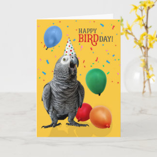 Funny African Gray Parrot Birthday Spaß Karte