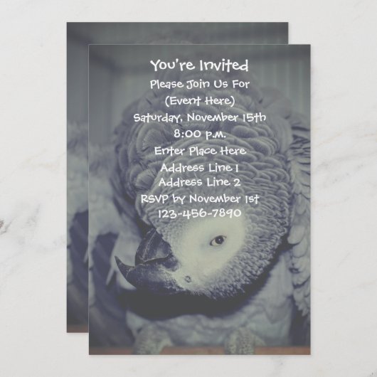 Funny African Gray Parrot Party Einladung (Vorne/Hinten)