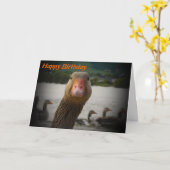 Funny Age Birthday Alte Vogel Gänse Karte (Gelbe Blume)
