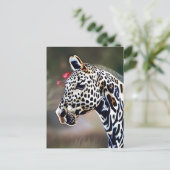 Funny AI Art Leopard Appaloosa Pferd Postkarte (Stehend Vorderseite)