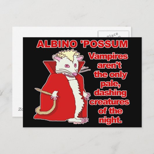 Funny Albino Possum Vampire Postkarte (Vorne/Hinten)