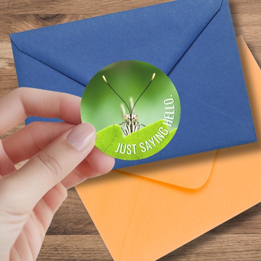 Funny All-Occasion Animal Butterfly Sticker