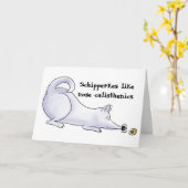 Funny Aloof Schipperke Dog Cartoon Karte (Gelbe Blume)