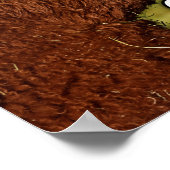 Funny Alpaca Alpacalypse Poster (Ecke)