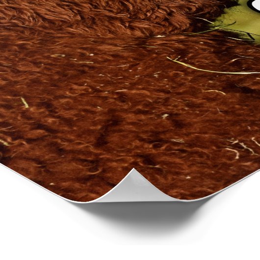 Funny Alpaca Alpacalypse Poster (Ecke)