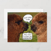 Funny Alpaca Alpacalypse Postkarte (Vorne/Hinten)
