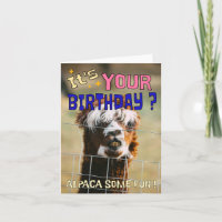 Funny Alpaca Birthday Card - Animal Pub Spaß