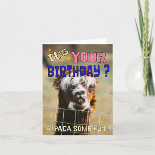 Funny Alpaca Birthday Card - Animal Pub Spaß Feiertagskarte