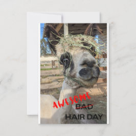 Funny Alpaca Card, Jeglicher Anlass Dankeschön Car Dankeskarte