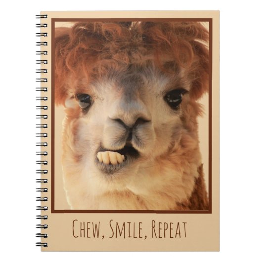 Funny Alpaca Chewing Notebook Notizblock (Vorderseite)