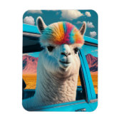 Funny Alpaca Im Fünfspänner über den Gotthard Magnet (Vertikal)