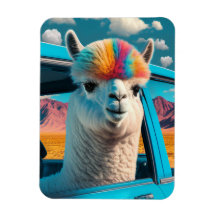 Funny Alpaca Im Fünfspänner über den Gotthard