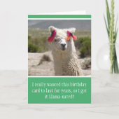 Funny Alpaca Llama Birthday Karte (Vorderseite)