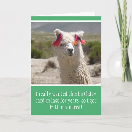Funny Alpaca Llama Birthday Karte (Vorderseite)