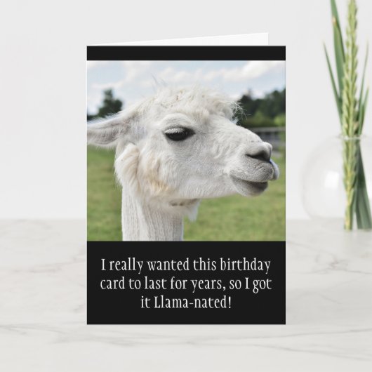 Funny Alpaca Llama Birthday Karte (Vorderseite)