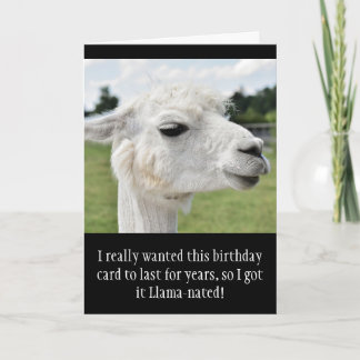Funny Alpaca Llama Birthday Karte